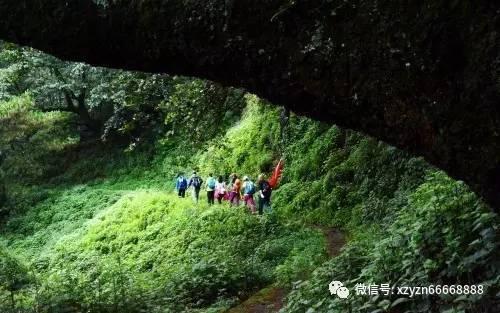 女武神：苍蓝革命